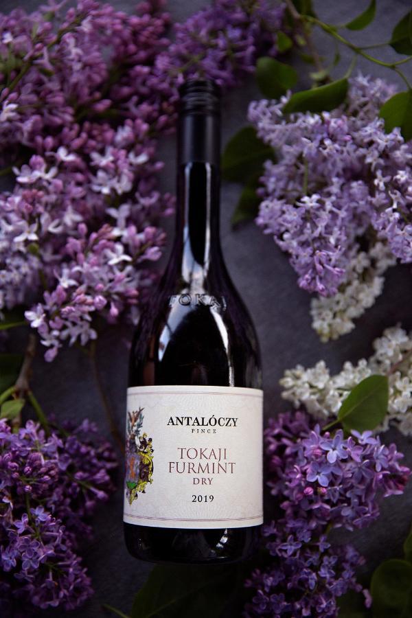 Antaloczy Winery&Apartments Tokaj Exteriér fotografie