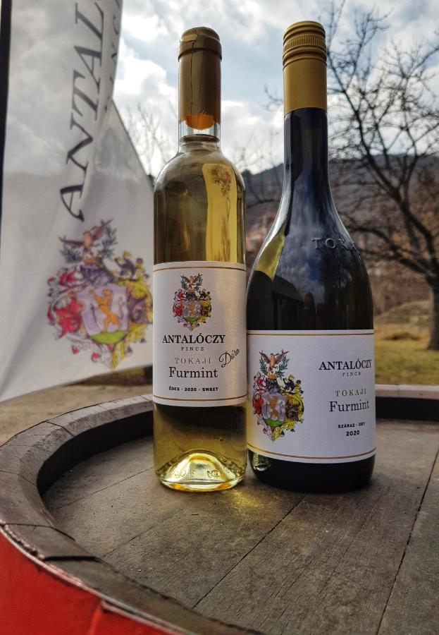 Antaloczy Winery&Apartments Tokaj Exteriér fotografie