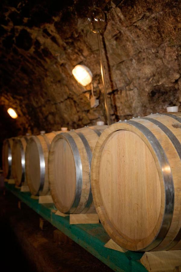 Antaloczy Winery&Apartments Tokaj Exteriér fotografie